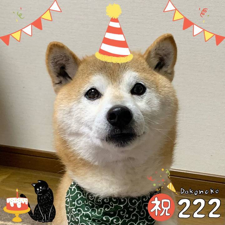 68807c4c b38b 4fdd a853 5cfc813a586e 1645527962580