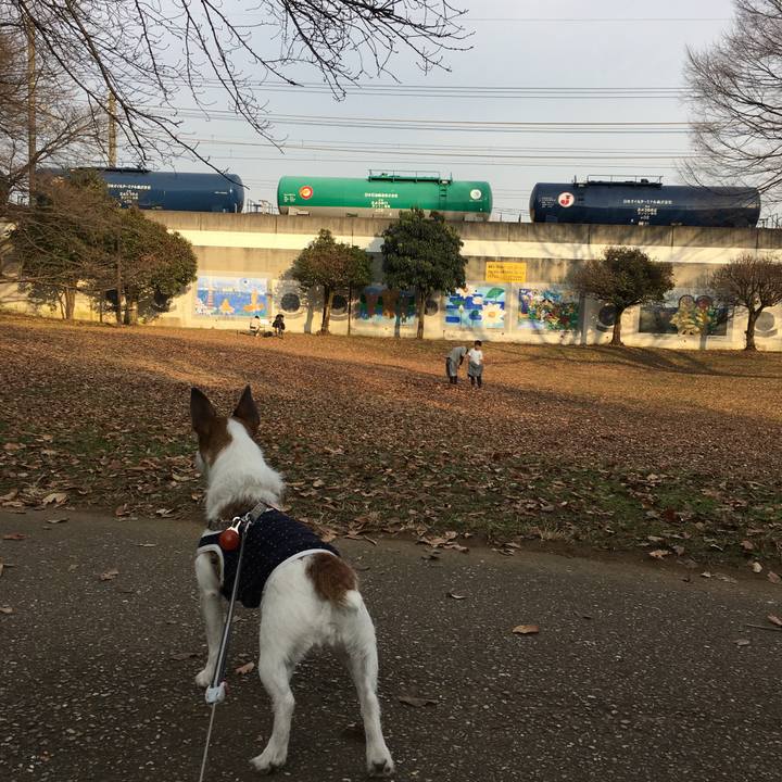 68809d89 8298 4d53 9fe7 3280cc9abc7f 1610755128617