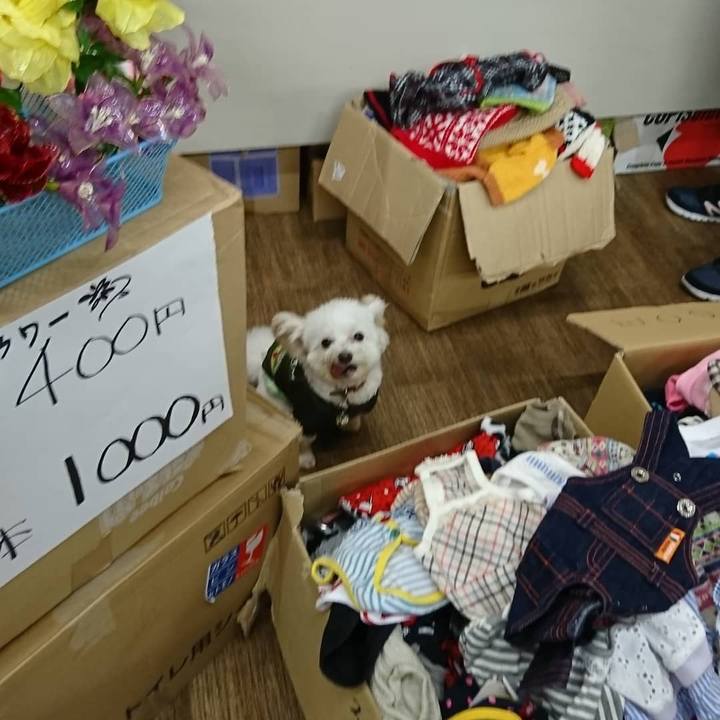 6880e58d 24c0 4991 b10e bf06748a103b 1573649139974