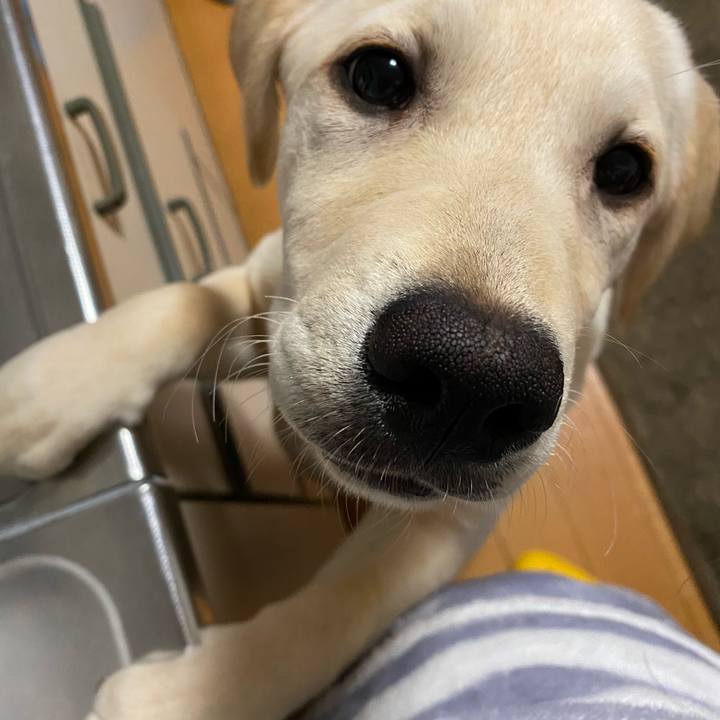 6880eb1d e886 41cf 9438 d7b0464e3342 1615375489378