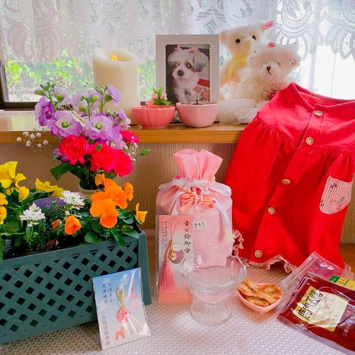 6881058c c5c8 47a0 b2f3 8c8e248ef800 1579230688459