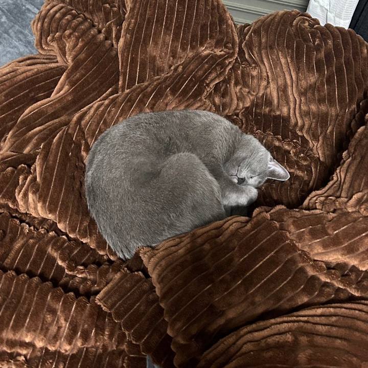 6881725e 1360 4fcf 8f63 aad8ec5bd230 1704356147489