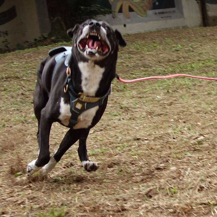 688176e3 e036 42bd b1f4 8cc395830cd3 1729641918306