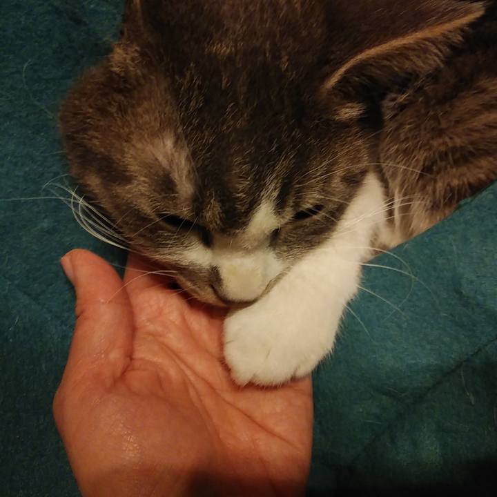 68818652 ce87 4c6d a994 19d2ff2a31e4 1580821863367