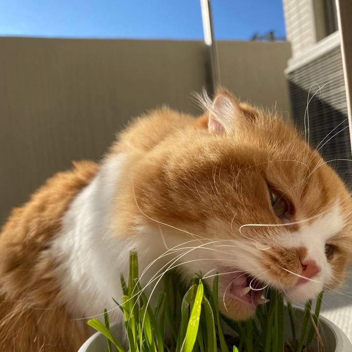 688186d8 0385 45ea 9fd5 67fbf9b0339f 1608527039611