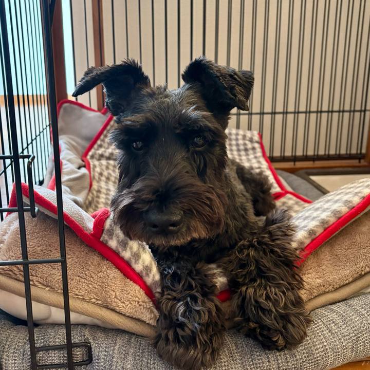 6881b346 0ceb 4c45 8742 1844085e628a 1765326548556