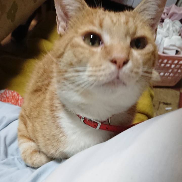 6881bb35 e557 4e9e a5e6 0c6d8820412d 1570180483242