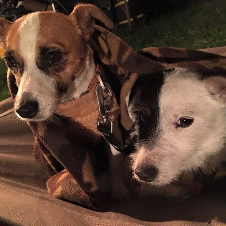 68826eff 69ce 4928 b811 4611939ca78f 1696334987607