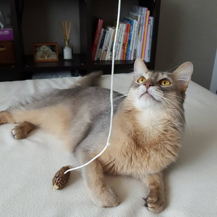 68828f53 9238 477e a0c1 e5cdfb5cb762 1522709825320