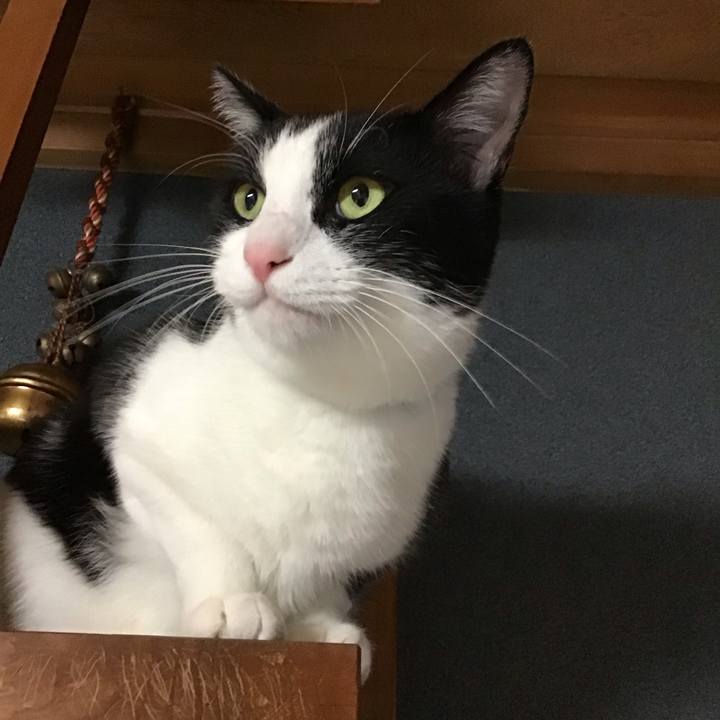 6882de7c a8af 48e2 8349 67129c476f2c 1759657254214