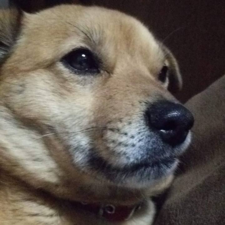 68834c07 4bd9 4e59 b587 98f03e29acec 1665411906911