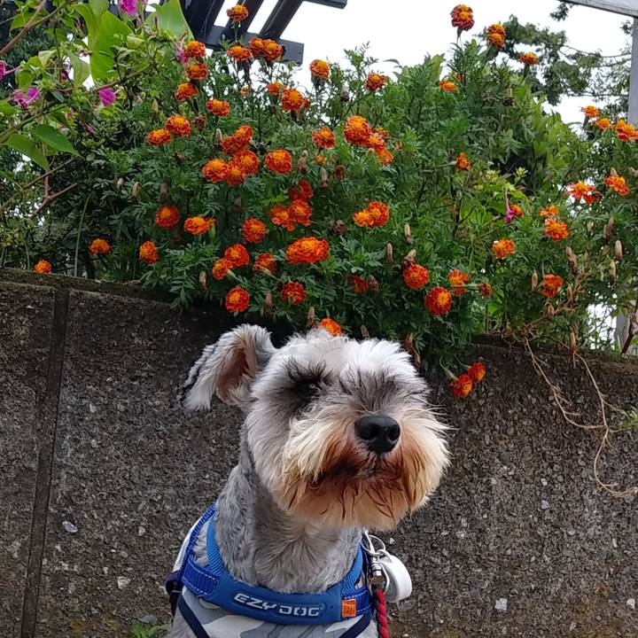 68836a29 8b35 4d02 a8dd 701204543a60 1601172825559