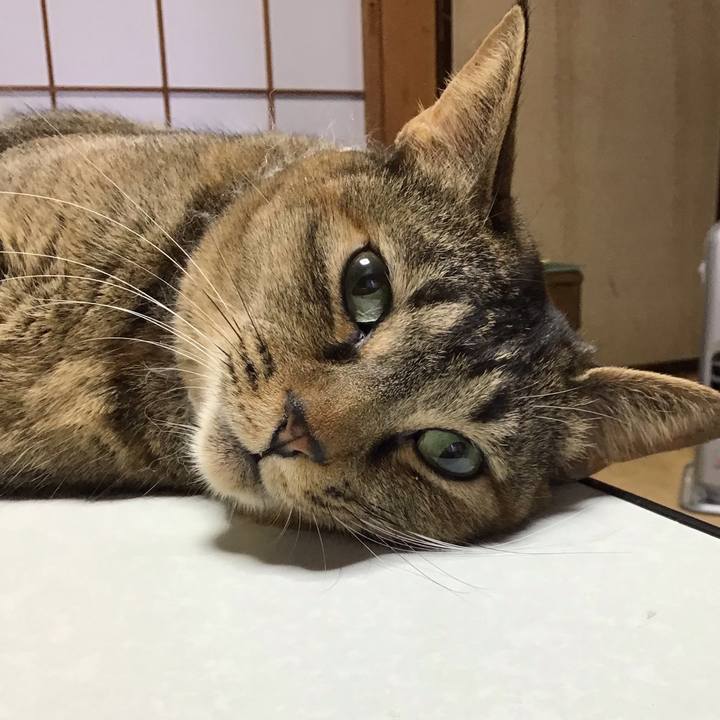 68839057 c2a9 47c9 95d2 ec6fb217fc30 1647902877353