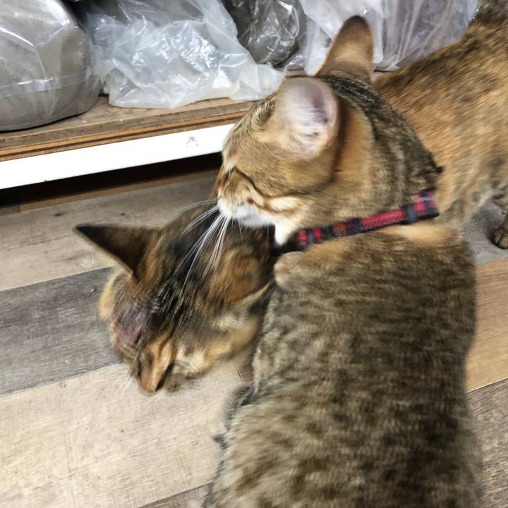 6883b8a8 1f80 404f 8b05 c9f32e90f0f6 1624882115866