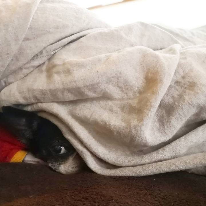 6883cda9 2b78 41dd b373 4ae9a4030ef4 1548907535074