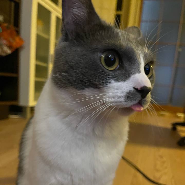 6883e023 a519 4f07 8744 1154ea4c645b 1629195761852