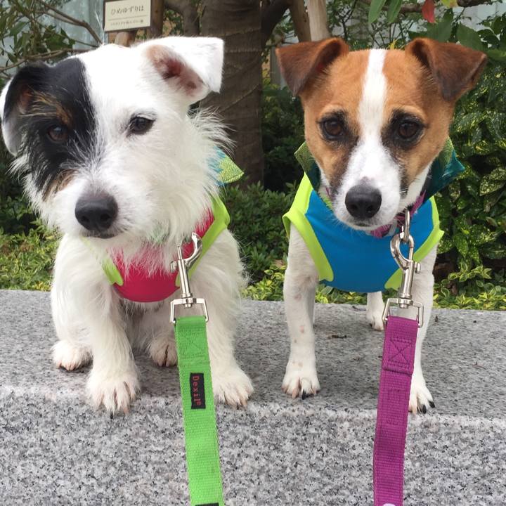 68845521 01e3 475e a1e4 739c27098f66 1591333235596