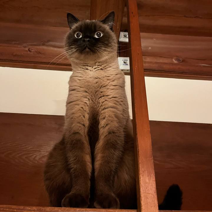 68845d69 ad90 42bf 8e7f 6d33d5deac6a 1733727578106