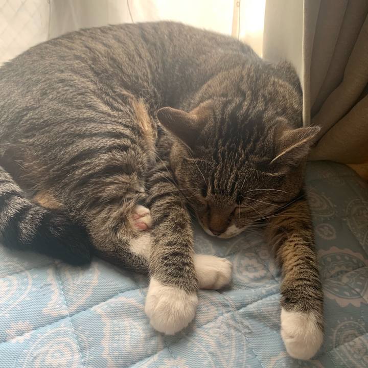 68847cf8 220c 45dc 8a50 36017792a94b 1566441188522