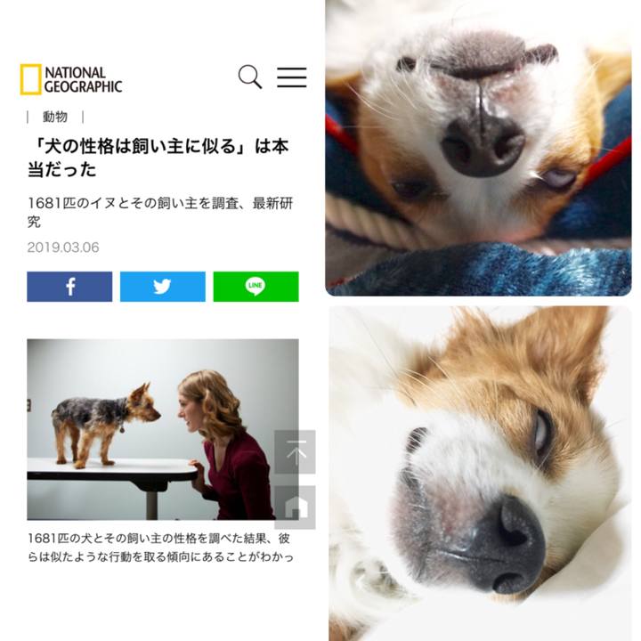 6884a26f 3671 4730 8d3d 7bfcd03ae098 1551879426185