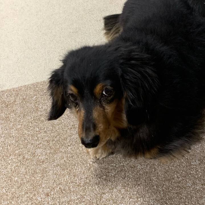 6884af05 6563 4f33 aca9 1a23cbea3148 1548626343158