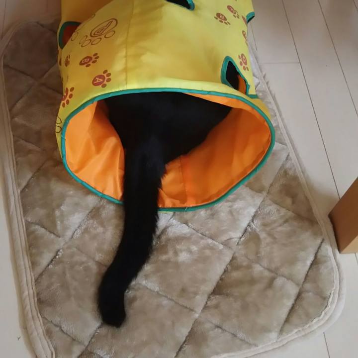 6884b91e 9d27 44ec 9b51 2cda0dd15318 1544315398095