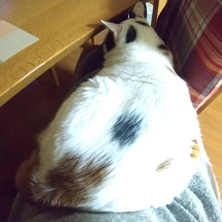 6884e874 7d9b 4e2a bfc1 adc55328eb78 1703411240850