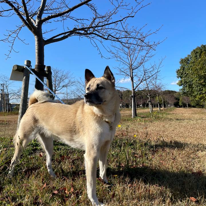 68851b36 23e5 4b6e bccb a0576358b7bd 1637925234098