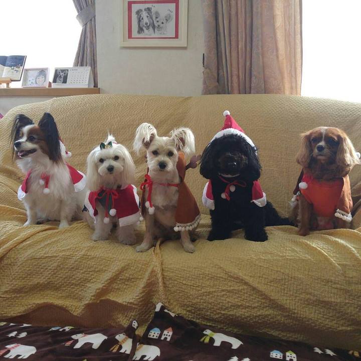 68855d93 77f1 4c39 8e2f 19762ece8ca3 1513338209558