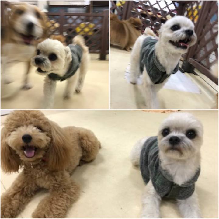 68855f0c 0d85 4bc5 9482 b0e7ffa4399e 1523877100352