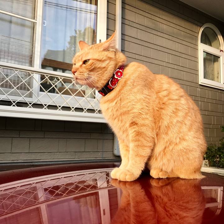 688574db 0242 423d a935 b2dbb938e57e 1541579644022