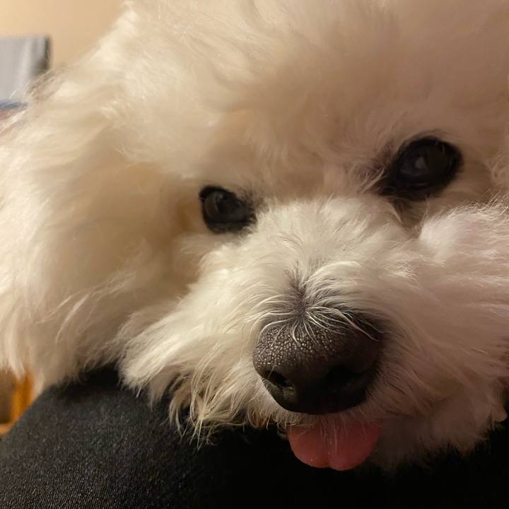 6885d483 b680 43cc aaf6 54f7a6586d8f 1607953927854