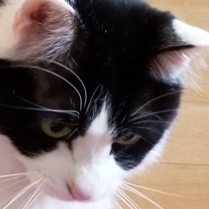 6885ed0c f626 42e7 a49d 5f463996a1b4 1553325105369