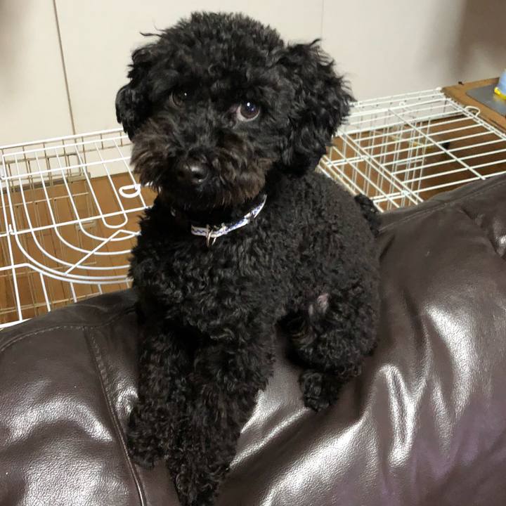 6885fc84 4a2e 4bc1 838e 27447094a609 1511164298150