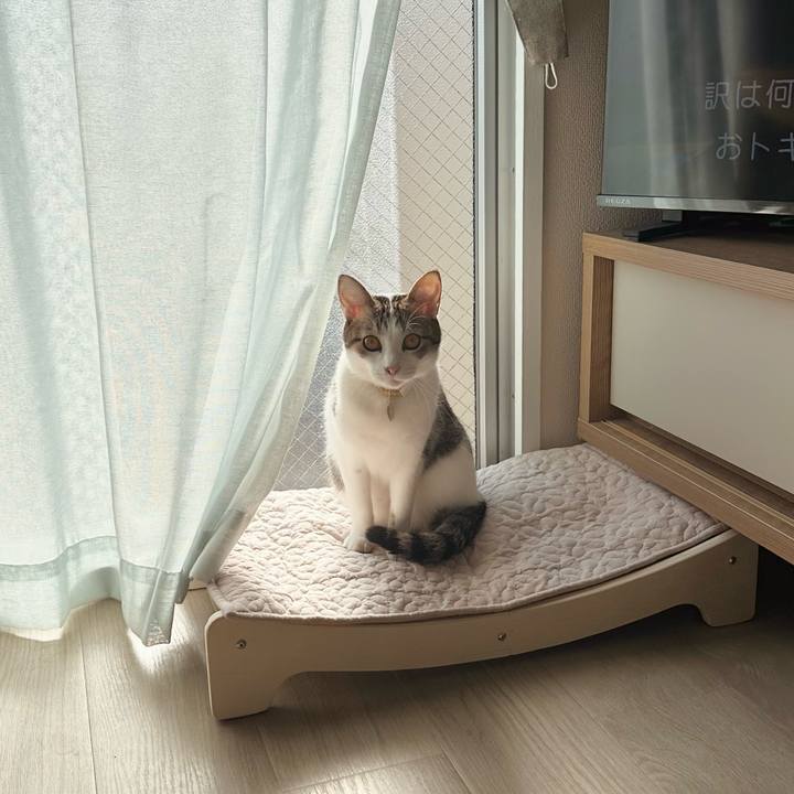 68862184 a8fe 4066 9d4c 629297828658 1767673618140