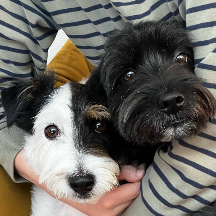 68863abd 7192 4b67 b6e8 738c337e6f32 1755935297972