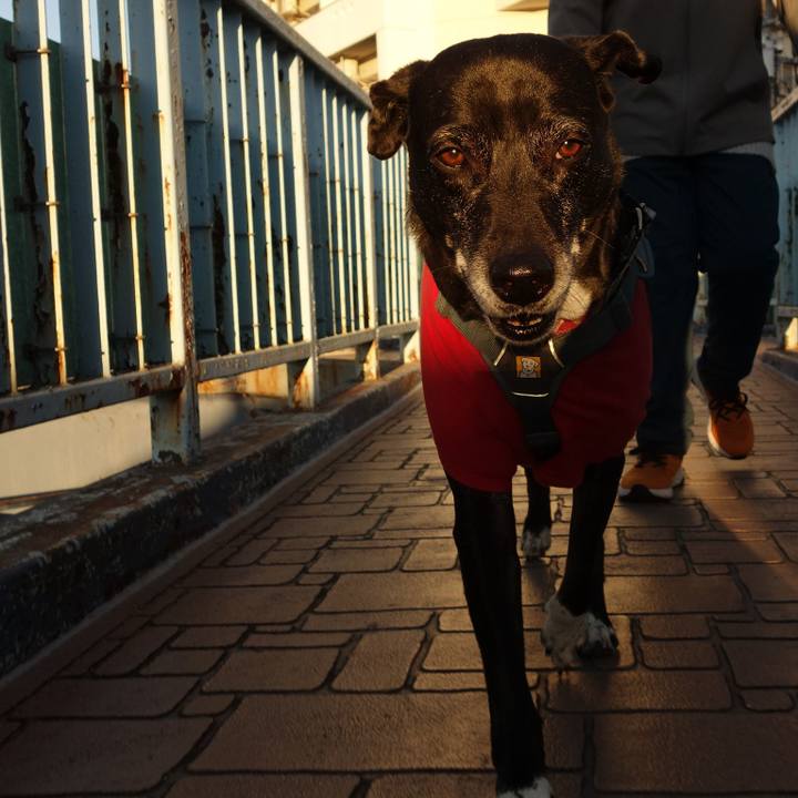 6886a578 a441 4d70 b806 3c44f7ce7b44 1735085551933