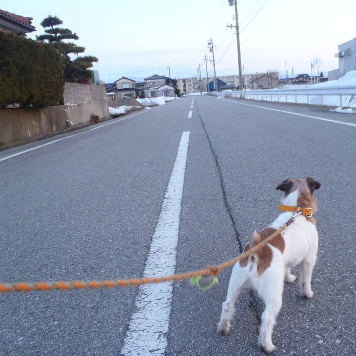 6886b83b 763d 4506 a7e4 d156cbc99e75 1519905545547