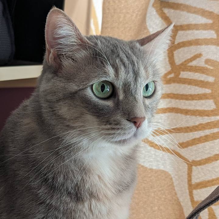 6886b9ca 84bb 45a9 a792 154994d926fc 1717042775081