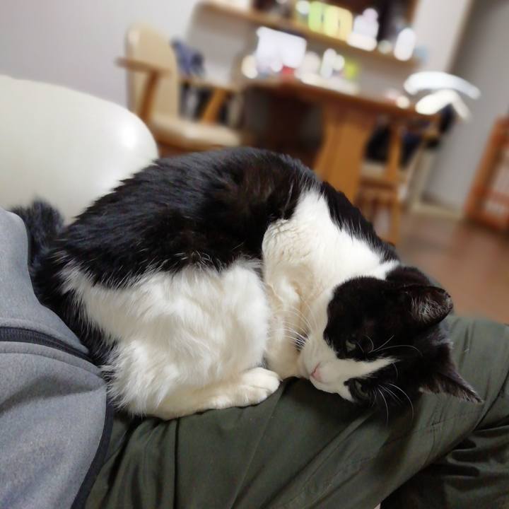 6886ce05 97be 4b35 9736 dca8a1cc7701 1582191825821