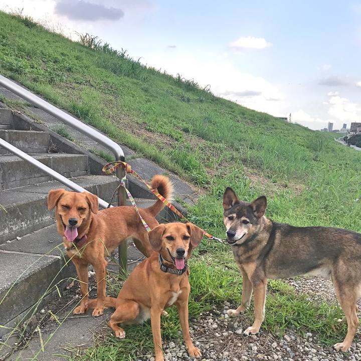 6886fdaf 000a 4b7a 8ce6 f43f872726de 1537271536517