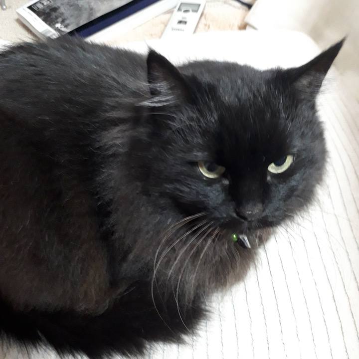 68872f05 abef 4312 803c e77fc6dc163c 1523310633337