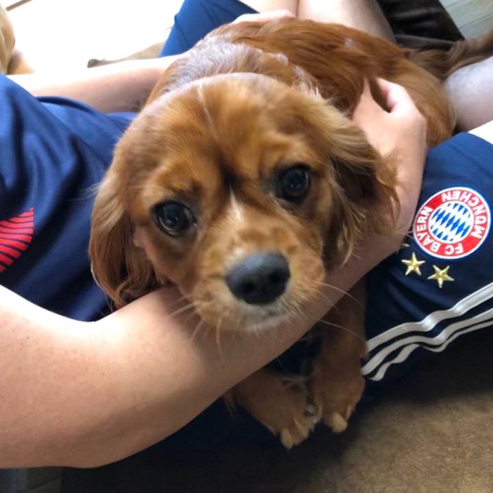 6887379b dba3 47ad b33e 46fa4c7a528d 1559946472637