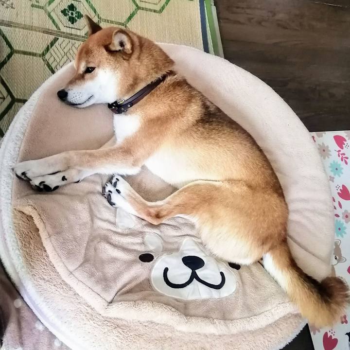 68874e2f 54ff 490a ad19 941c2dbcc0d8 1626229029666