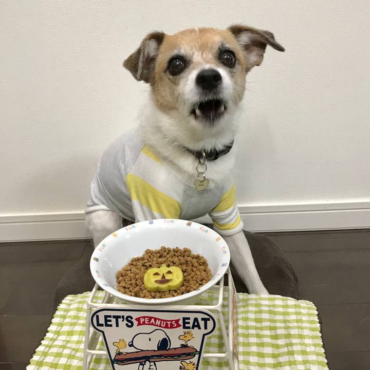 68877dfa f1eb 4269 80cf a6ac2eee72ac 1604138417039