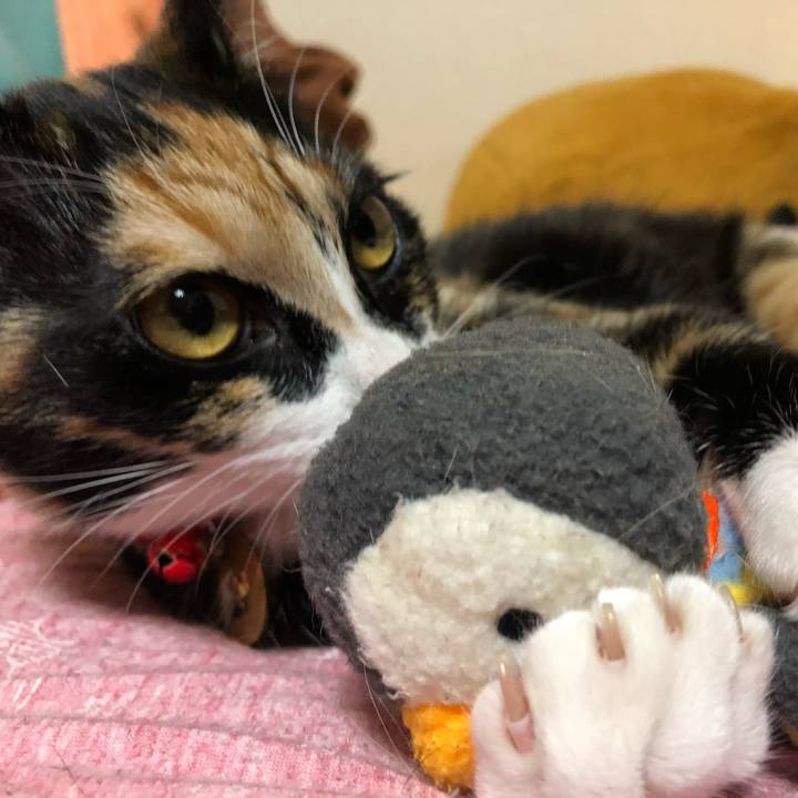 688850e1 0b15 41d6 a2e2 5d515647139f 1552976358847