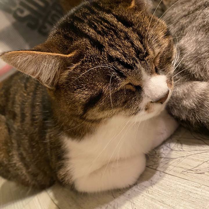 688885ff 82c7 49e4 ad7d 766d47d80450 1584287703811