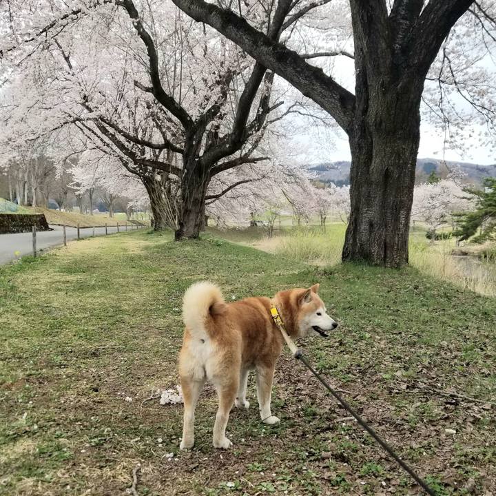 68888ad2 ae0a 4bdc ac57 75c7ea338a7e 1680836296850