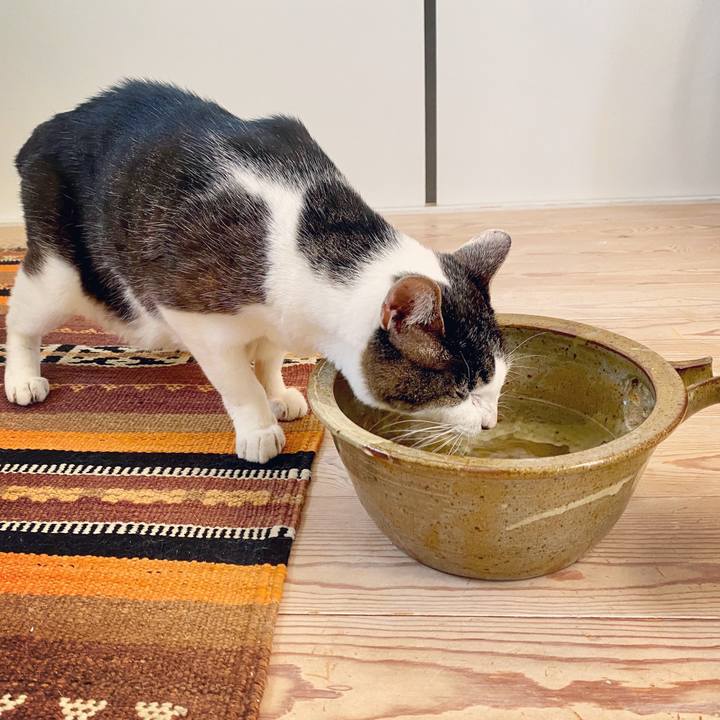 6888b4f1 dd1b 437d b615 3b9a1e9db168 1597125392437