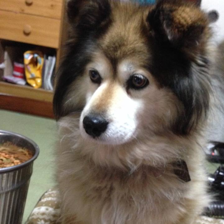 6888dae0 ca05 4fcc a4a0 eb6ed6422f21 1617154490151